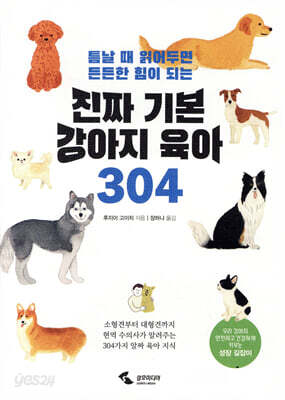 진짜 기본 강아지 육아 304