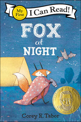 Fox at Night