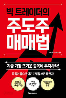 빅 트레이더의 주도주 매매법