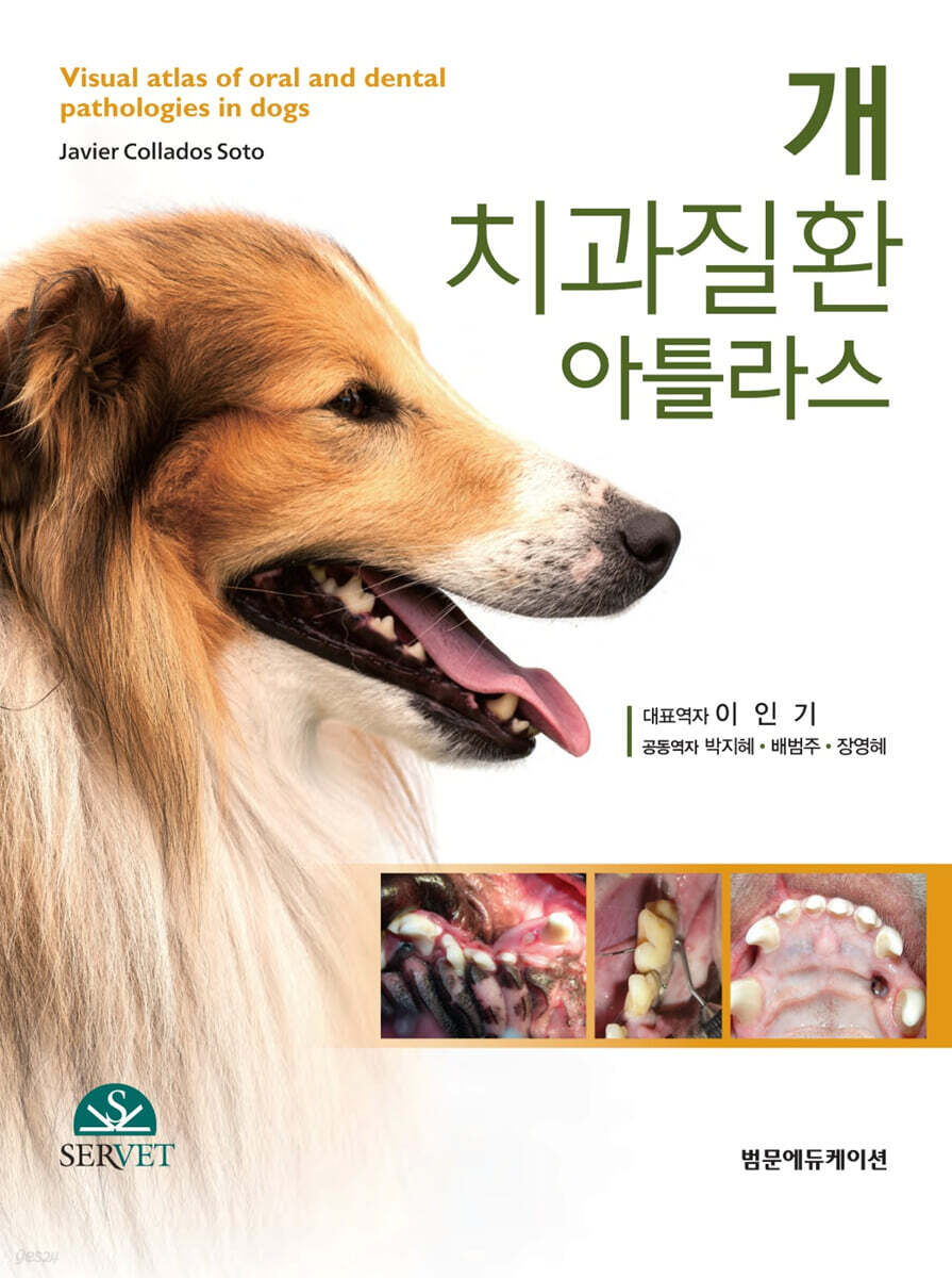 개 치과질환 아틀라스