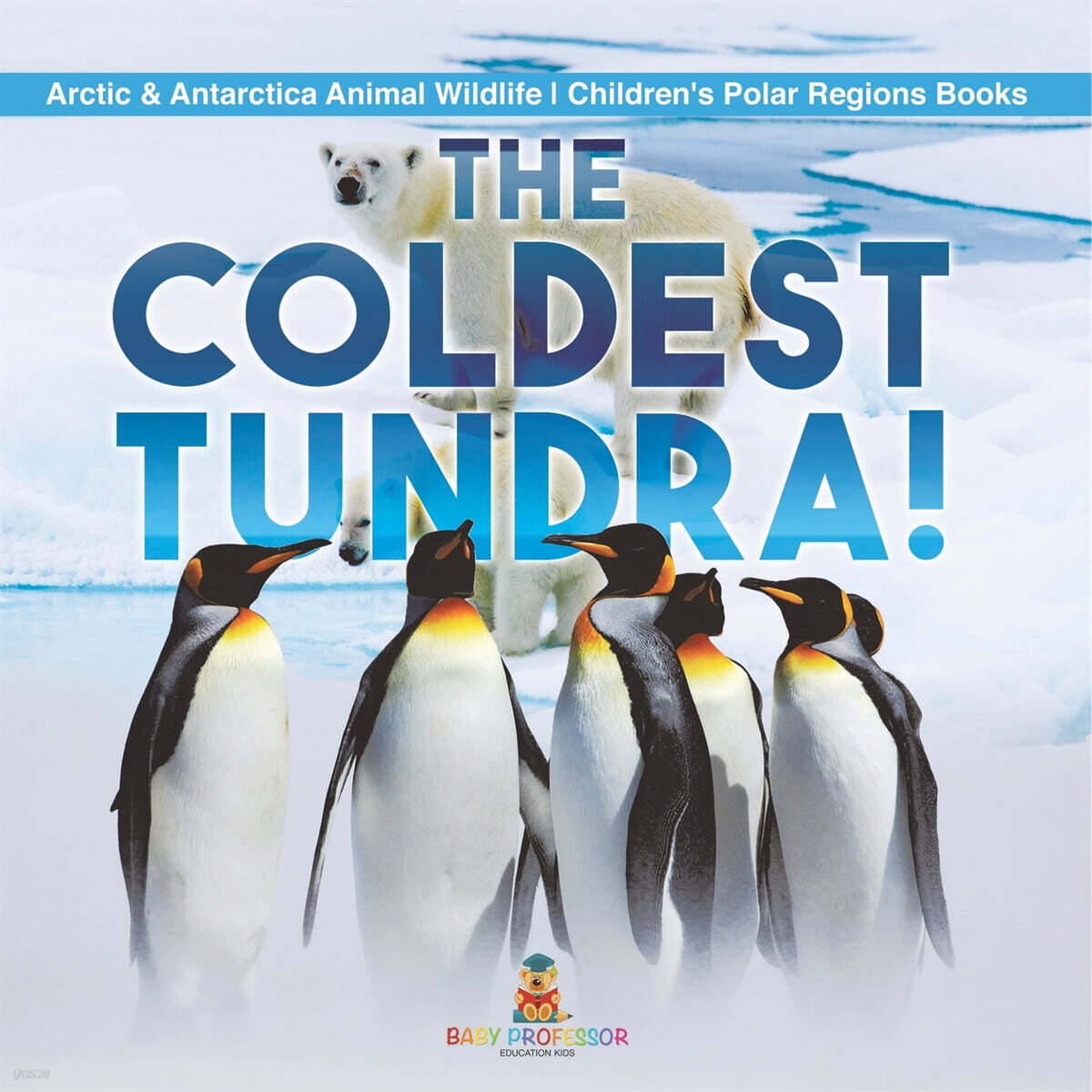 The Coldest Tundra! | Arctic & Antarctica Animal Wildlife | Children's Polar Regions Books