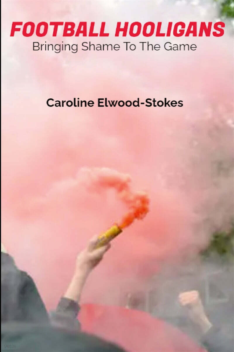 FOOTBALL HOOLIGANS  Bringing shame to the game