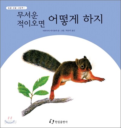 무서운 적이오면 어떻게 하지
