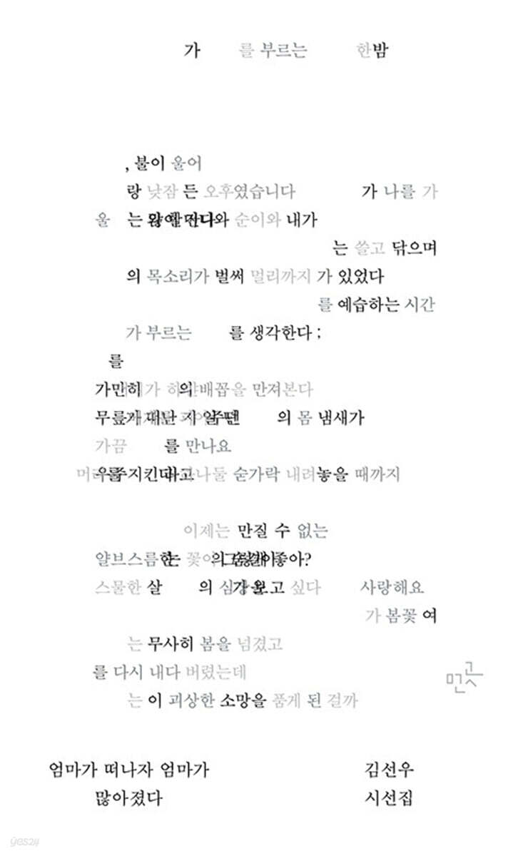 엄마가 떠나자 엄마가 많아졌다