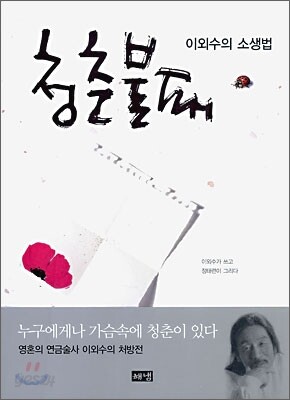 청춘불패