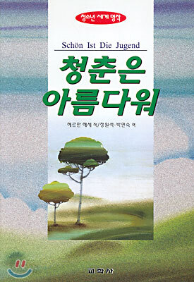 청춘은 아름다워