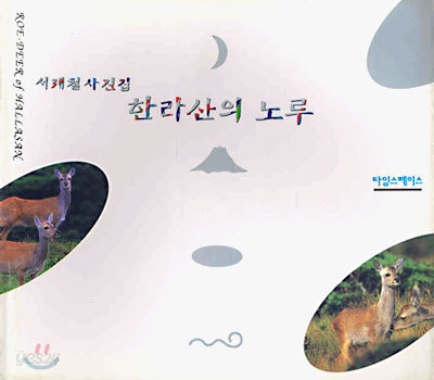 한라산의 노루