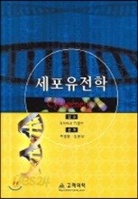 세포유전학