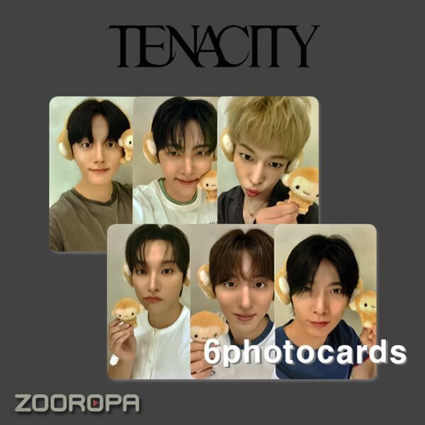 [새상품/A 포토카드 세트] 에스에프나인 SF9 TENACITY (정품/헬로라이브)