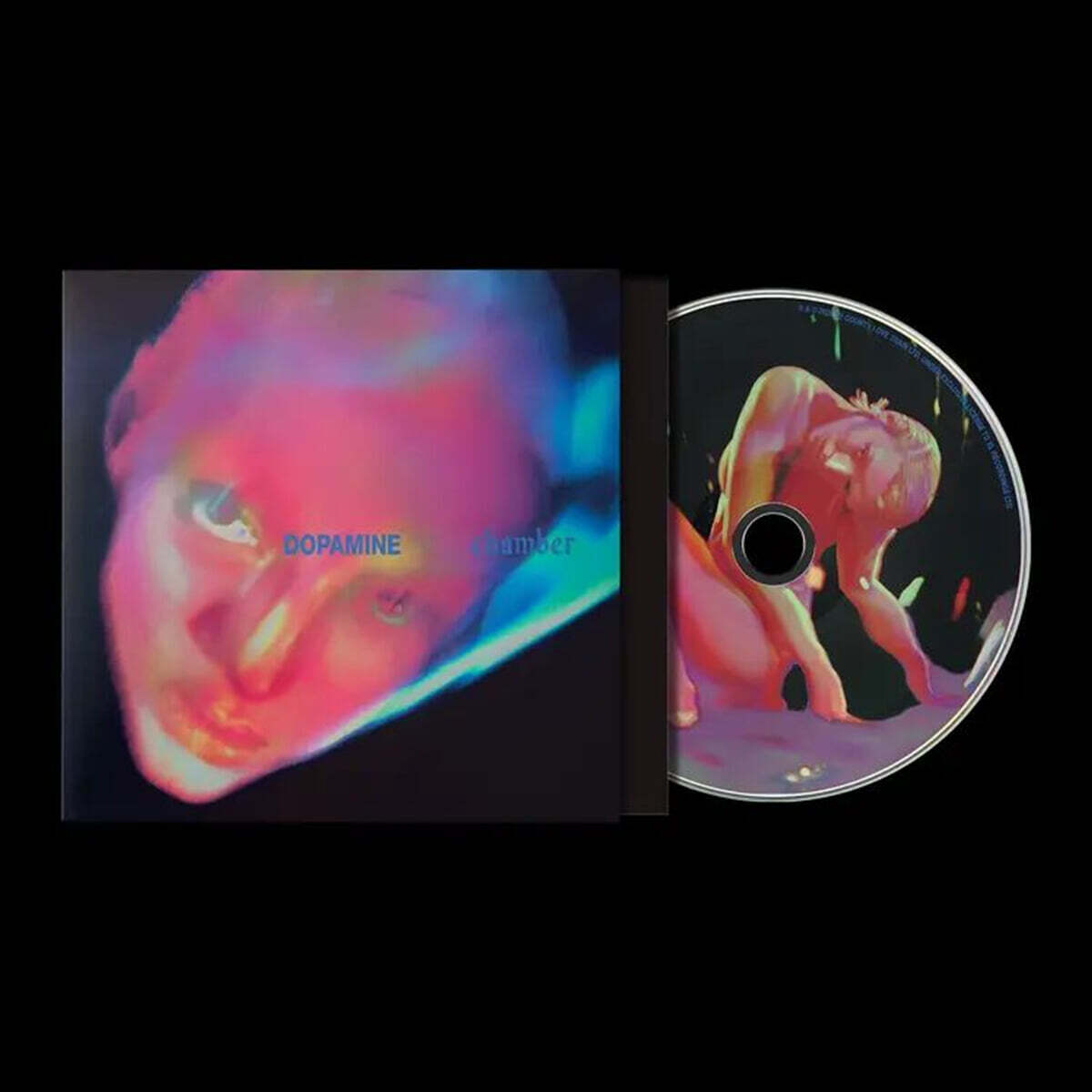 Fontaines D.C (폰테인스 D.C.) - 5집 Dopamine Chamber