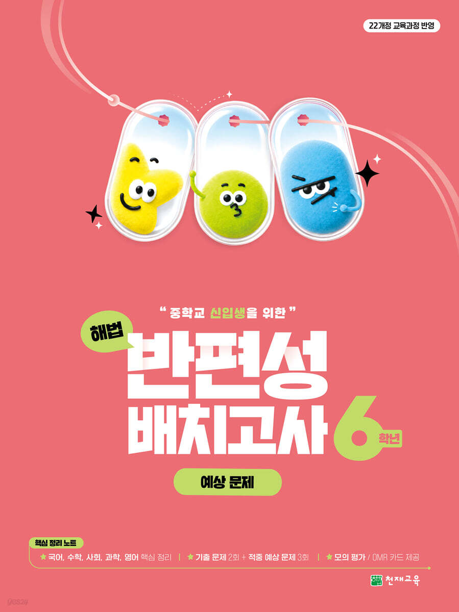 해법 반편성 배치고사 예상문제 6학년 (2027년)