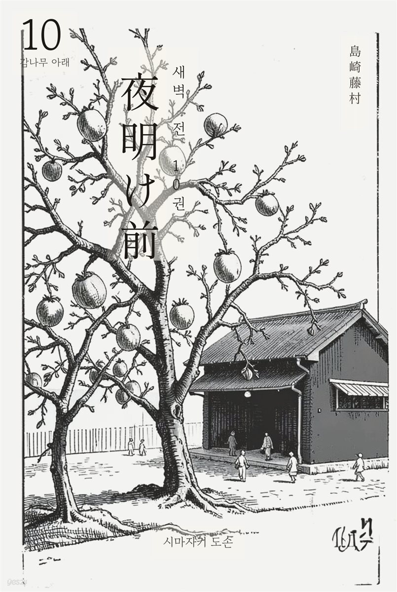 동트기 전 10권