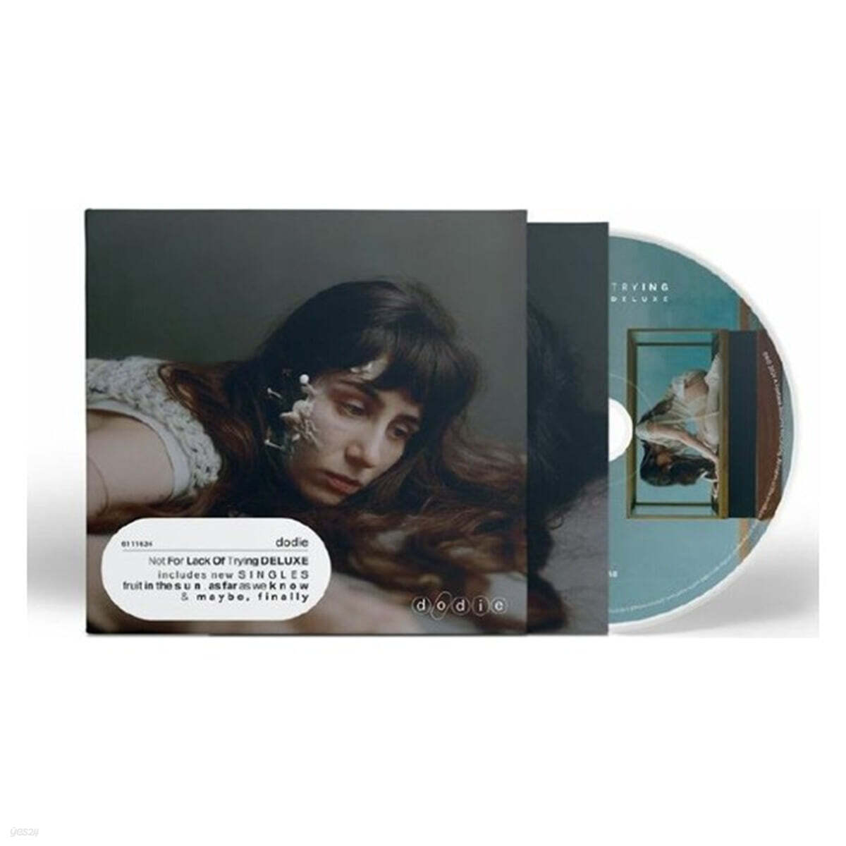 dodie - Not For Lack Of Trying