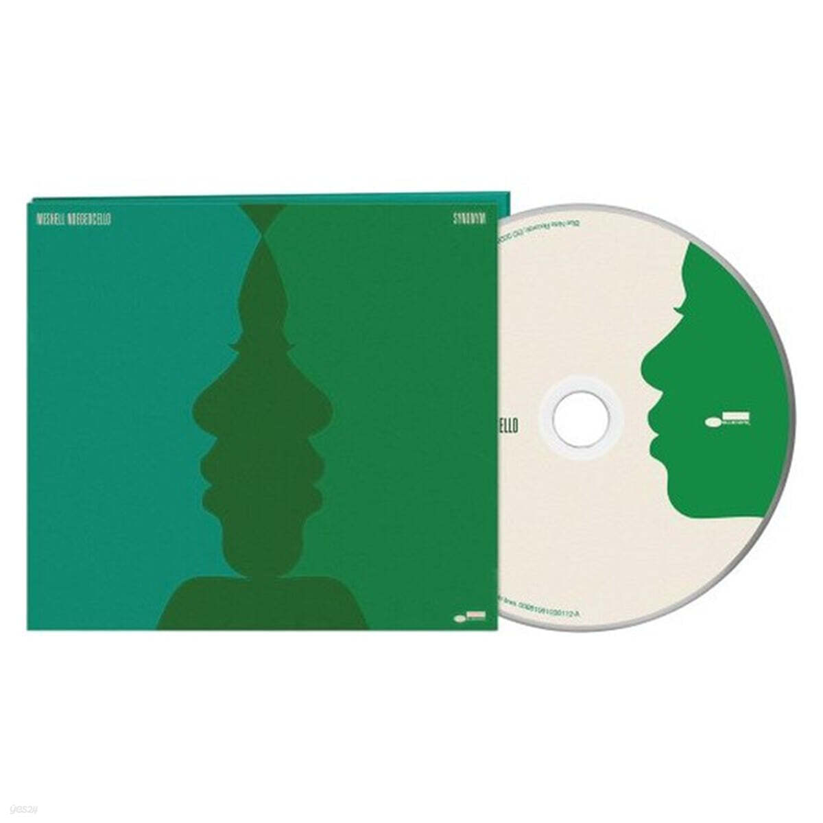 Meshell Ndegeocello (미셀 엔디지오첼로) - Synonym