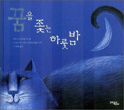 꿈을 좇는 하룻밤