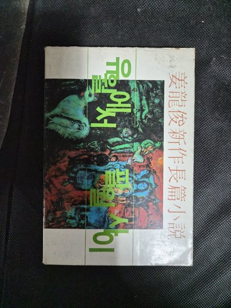 유월에서 팔월사이  강영준 (지은이) | 중앙일보 | 1980년 1월