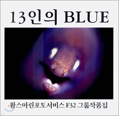 13인의 BLUE