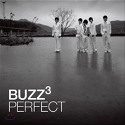 버즈 (Buzz) 3집 - Perfect 포스터 패키지