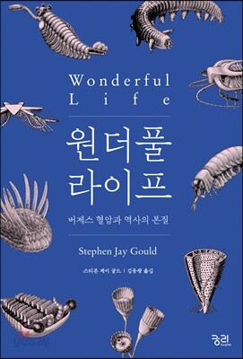 원더풀 라이프