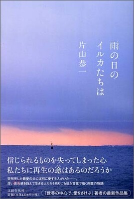 雨の日のイルカたちは