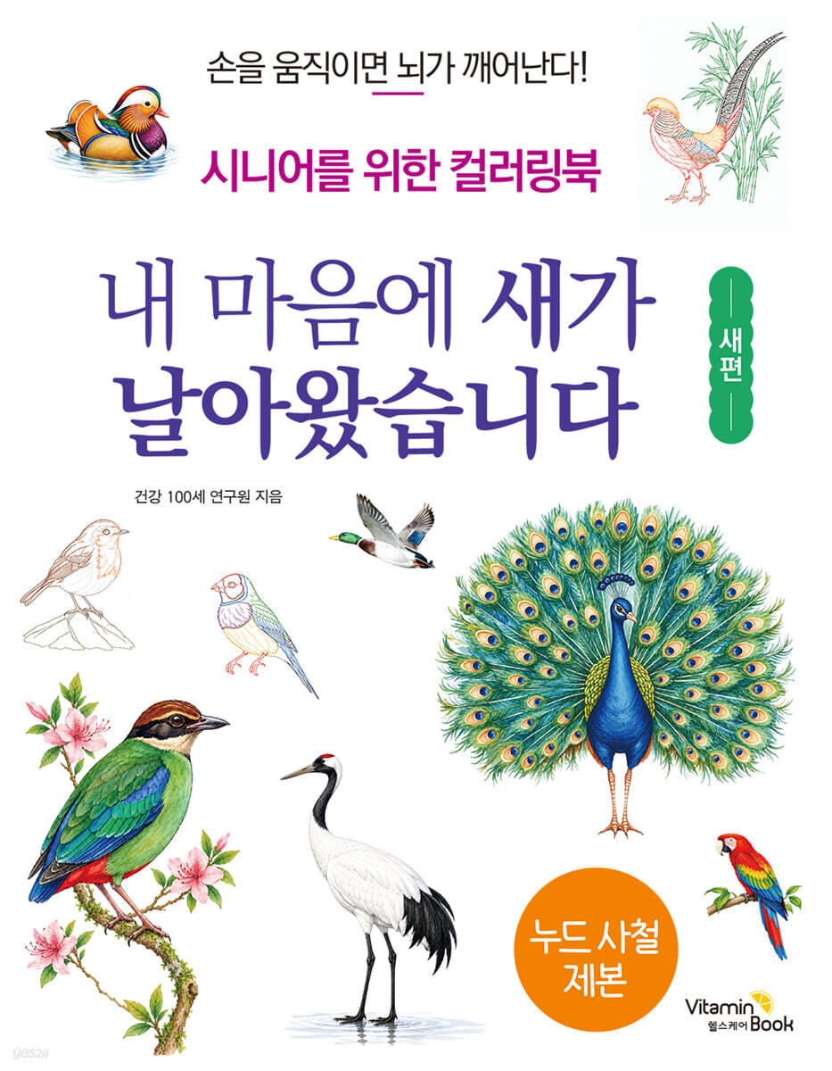내 마음에 새가 날아왔습니다 : 새편