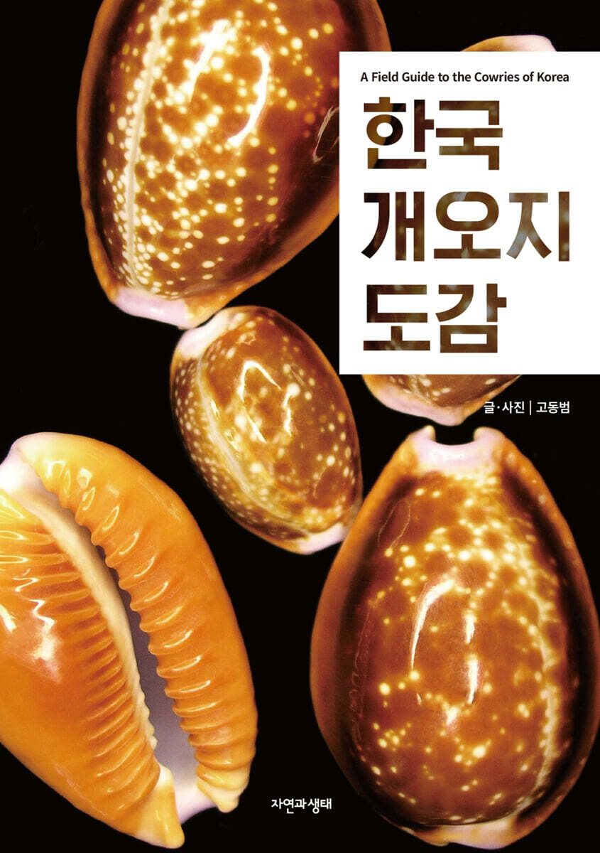한국 개오지 도감