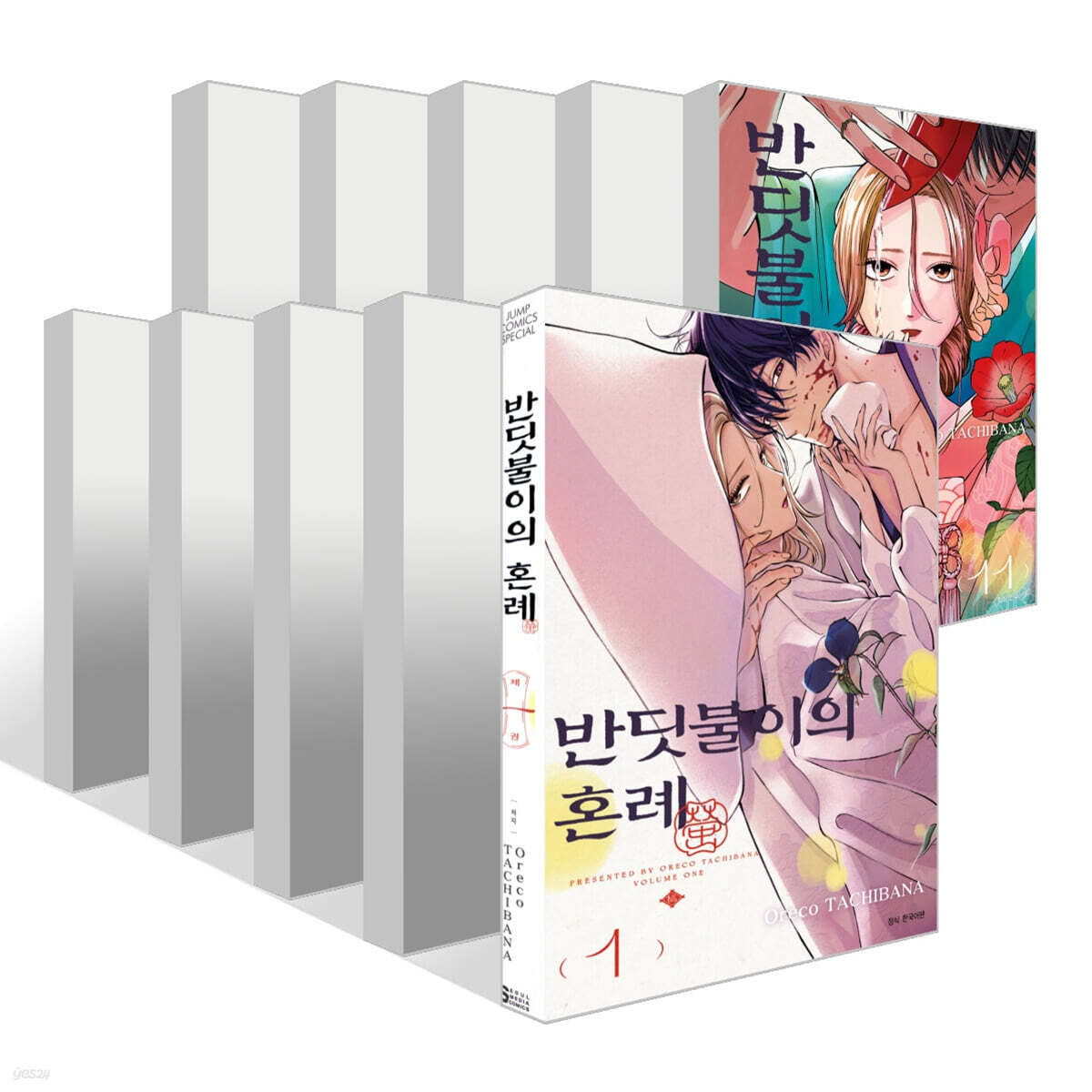 반딧불이의 혼례 1~11권 세트