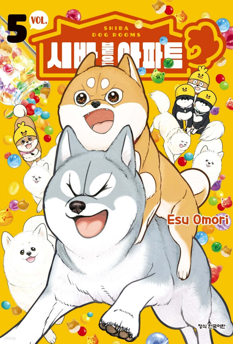 시바 붙은 아파트 5