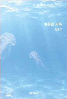 여름의 기록