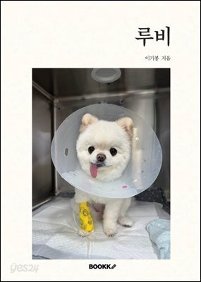 루비
