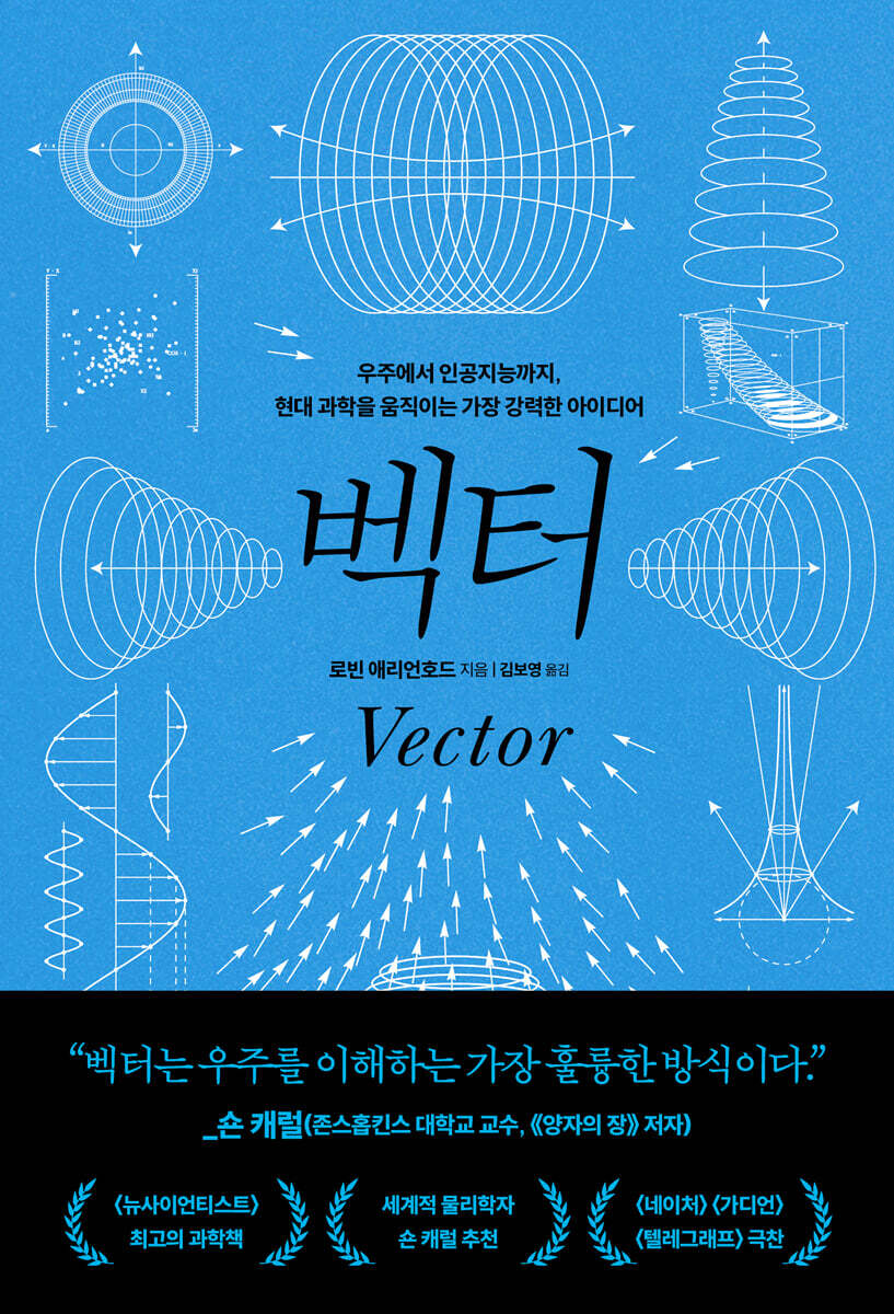 벡터