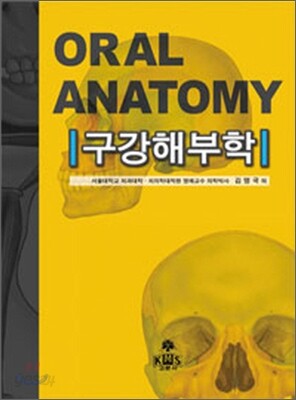 구강해부학