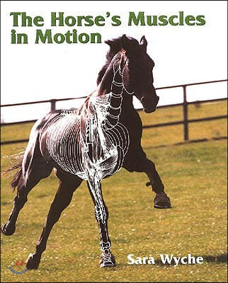 The Horse's Muscles in Motion