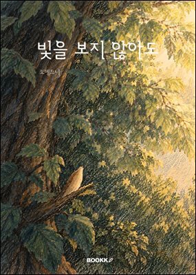 빛을 보지 않아도