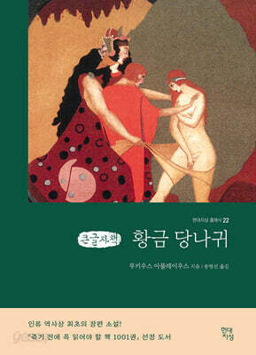 황금 당나귀 (큰글자책)