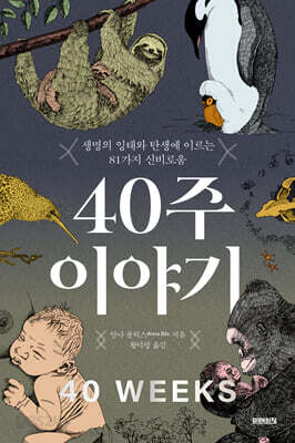 40주 이야기