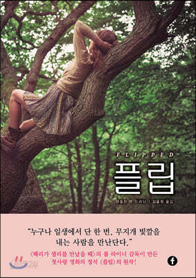 플립