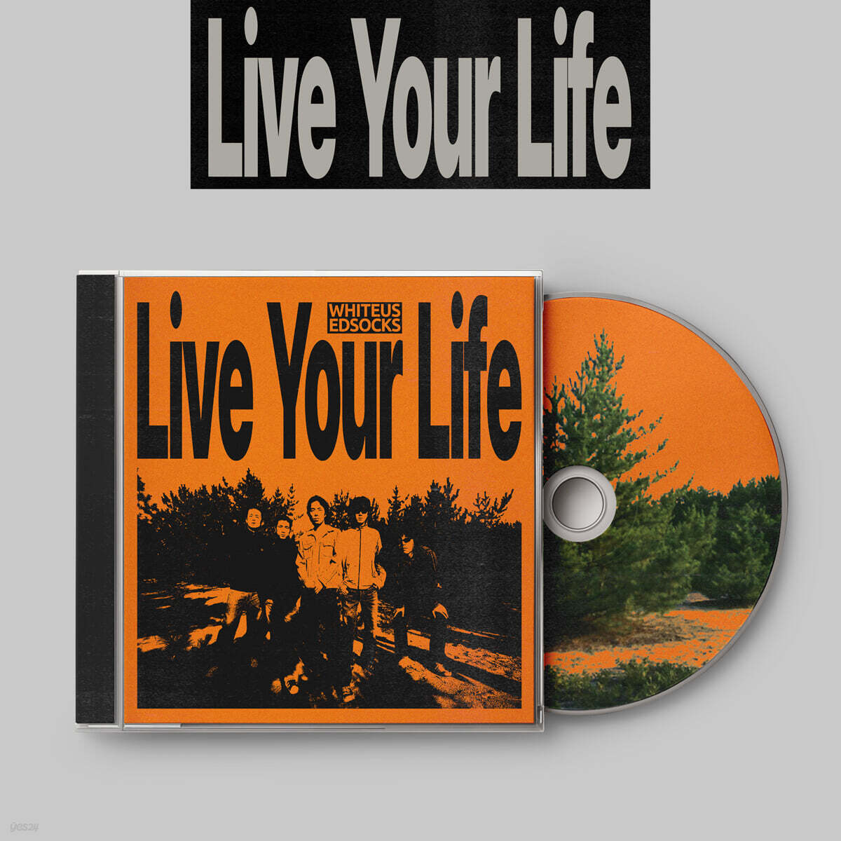 화이트유즈드삭스 (Whiteusedsocks) - Live Your Life