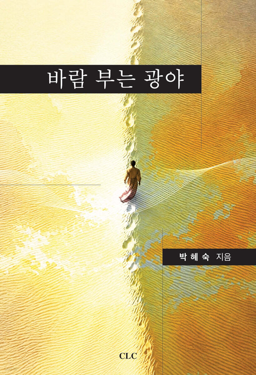 바람부는 광야