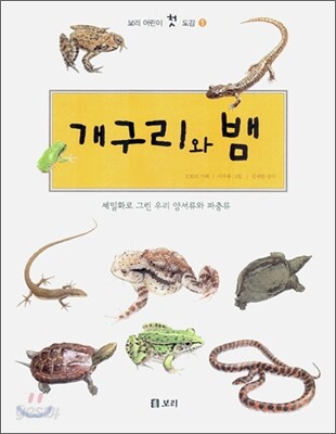 개구리와 뱀