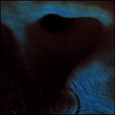 [라이센스] Pink Floyd - Meddle (CD) (Digital Remasters)