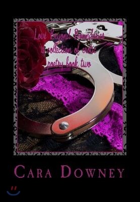 Love Beyond Boundaries a collection of erotic poetry book 2