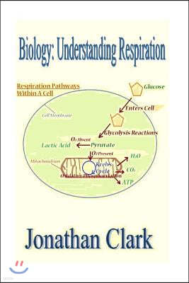 Biology: Understanding Respiration