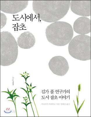도시에서, 잡초