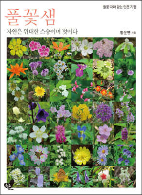 풀꽃샘
