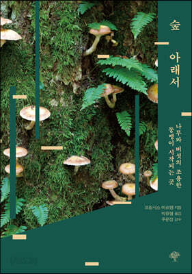 숲 아래서