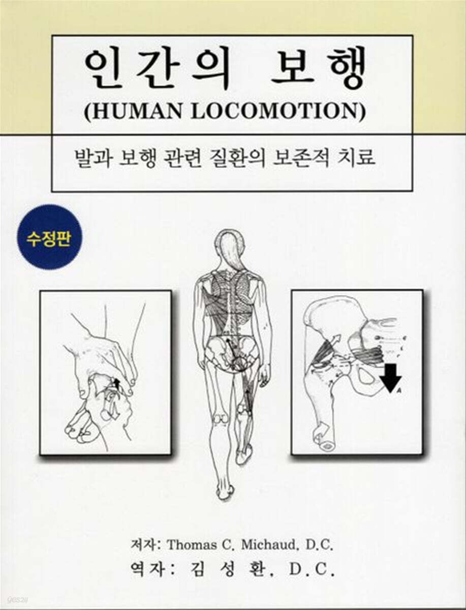 인간의 보행
