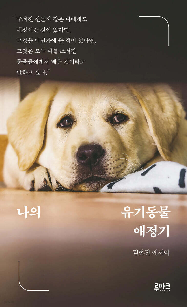 나의 유기동물 애정기