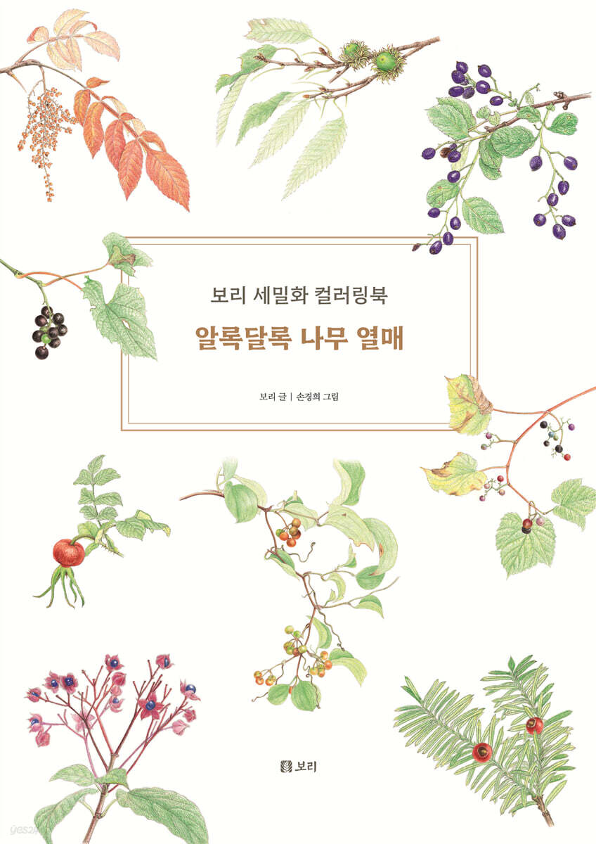 알록달록 나무 열매