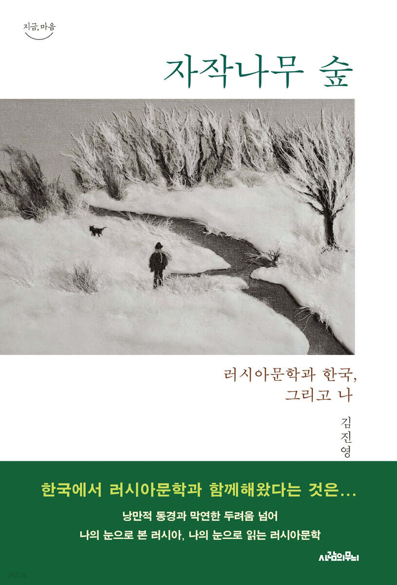 자작나무 숲